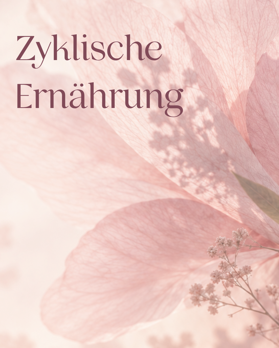 zyklus sprechstunde 2 zyklus sprechstunde 2